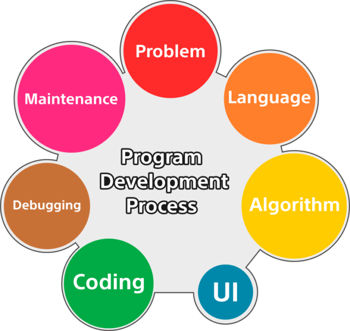 Program Development Process